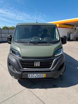 Fiat Ducato - gebrauchte Fiat Ducato aus dem Jahr 2023
