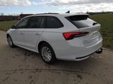 Skoda Octavia Kombi 1.5 TSI DSG AHK Sitzh LED GRA GV5 - Skoda Octavia Tageszulassungen mit Benzin-Antrieb