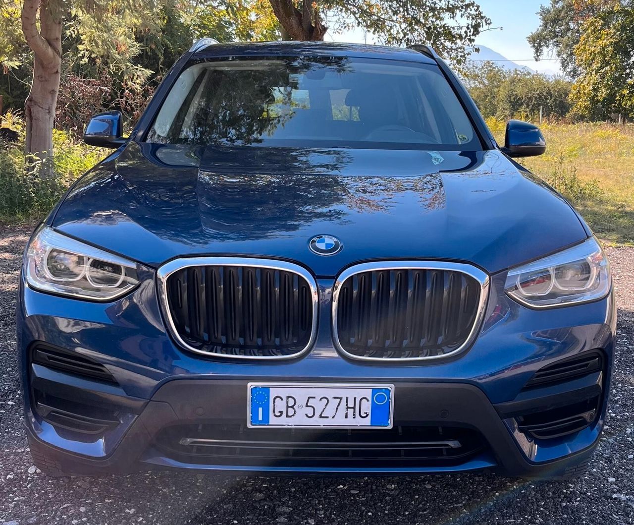 BMW Bmw X3 xDrive20d Business Advantage imagem 2