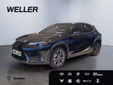 Lexus UX 300h F SPORT Design *LED*Kamera*SHZ*PDC v+h*  - Lexus Behindertengerecht