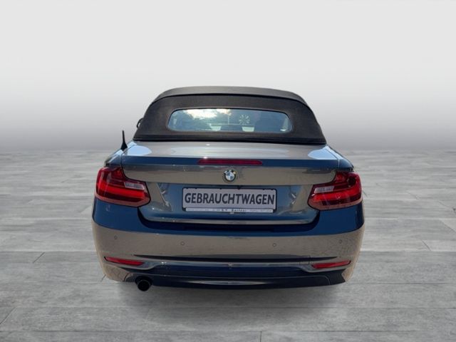 220i CABRIO LINE LEDER XENON REAR VIEW SPORT FW
