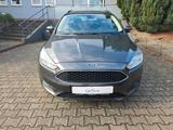 Ford Focus Turnier Trend - Ford Gebrauchtwagen in Neubrandenburg
