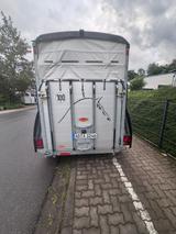 Böckmann Portax  LSR  Bechädigt - Böckmann Tier-/Pferdetransport