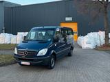 Mercedes-Benz Sprinter 311 - 9. Sitzer - Rollstuhlrampe -64TKm - Mercedes-Benz Sprinter 6 sitzer