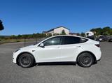 Tesla Model Y Hinterradantrieb RWD - Tesla: Geländewagen