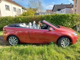 Volkswagen VW Cabrio Golf VI 2.0 TDI Vollleder weiß, ... - Volkswagen Golf: Weis