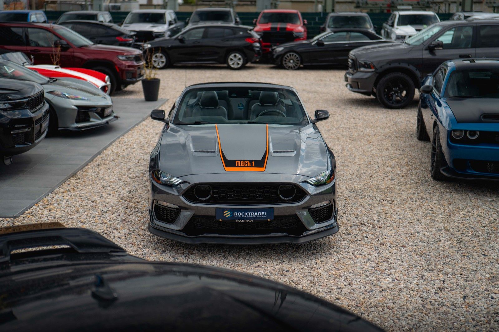 Fahrzeugabbildung Ford Mustang Shelby 500 GT Cabrio MACH 1 PREMIUM 19%