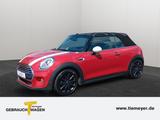 MINI Cooper Cabrio Chili Wired Leder RFK LED 1. Hand - MINI Cooper Cabrio Gebrauchtwagen