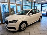 Skoda Fabia Active AHK,LED,Sitzheizung,PDC,App-Connect - Skoda Fabia: Sitzheizung