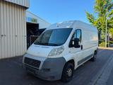 Fiat  Ducato  - Fiat Ducato in Wiesbaden