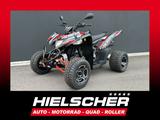 Aeon Cobra 424 SM ++  Noch 2 STÜCK für 6.485.-€  ++ - AEON COBRA 424 SM