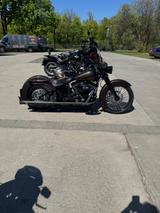Harley-Davidson Softtail FLSTC Chimano Umbau  - MOTORRAD UMBAU