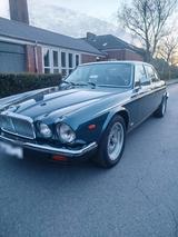 Jaguar XJ v12 Baujahr 1984 - Jaguar XJ: V12