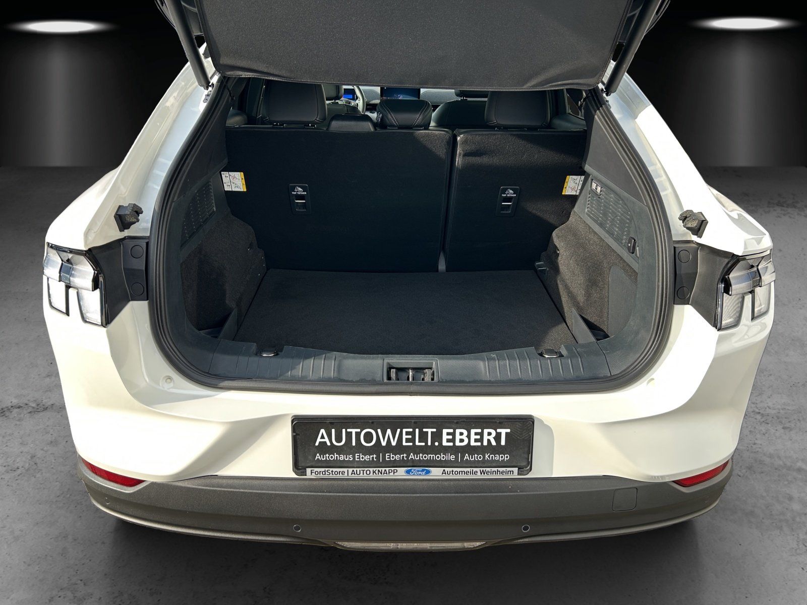 Fahrzeugabbildung Ford Mustang MACH-E Aut./LED/ACC/KAMERA/PANO/B&O/SHZ/