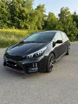 Kia cee'd / Ceed 1.6 T-GDI GT-Track GT-Track - Kia cee'd / Ceed: Standheizung
