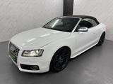 Audi S5 Quattro+Leder+B&O+Xenon Plus+LED+Nav+Keyless - Audi S5 aus 2009