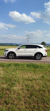 Kia Sorento 1.6 T-GDI Hybrid AWD Spirit Auto Spirit - Kia Sorento Spirit mit Hybrid-Antrieb (Benzin/Elektro)