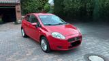 Fiat Punto Top Zustand  - gebrauchte Fiat Punto aus dem Jahr 2009
