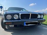 Jaguar XJ12 / XJ81 sehr seltenes Fahrzeug - Jaguar aus 1993