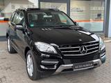 Mercedes-Benz ML 250 CDI*S-DACH*SHZ*AHK*II.HAND*S-HEFT*ASSISTE - Mercedes-Benz ML 250 aus 2012