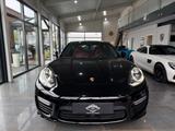 Porsche Panamera Turbo 4.8 V8/Carbon/Chrono/Sport-Design - Porsche Panamera: Coupe