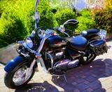 Suzuki Intruder - Angebote