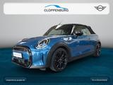 MINI Cooper S Cabrio Classic Trim Head-Up+Navi+SHZ+WR - blaue MINI Cooper S Cabrio