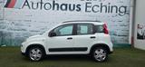 Fiat Panda City Life 1.0 Mild-Hybrid*Klima*SHZ* - gebrauchte Fiat Panda aus dem Jahr 2022