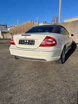 Mercedes-Benz CLK 500 AVANTGARDE  - Mercedes-Benz CLK 500 aus 2004
