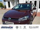 Volkswagen Golf VII 1.6 TDI BMT Comfortline BMT/Start-Stopp - Volkswagen Golf mit Diesel-Antrieb: 1.6