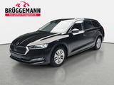 Skoda 1.0 TSI AMBITION NAVI LED LM - Skoda Octavia aus 2024