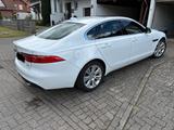 Jaguar XF 35t 340PS Prestige Automatik - Jaguar XF: Prestige