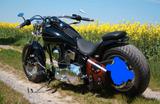 Harley-Davidson Softtail Night Train  - HARLEY-DAVIDSON DRESDEN