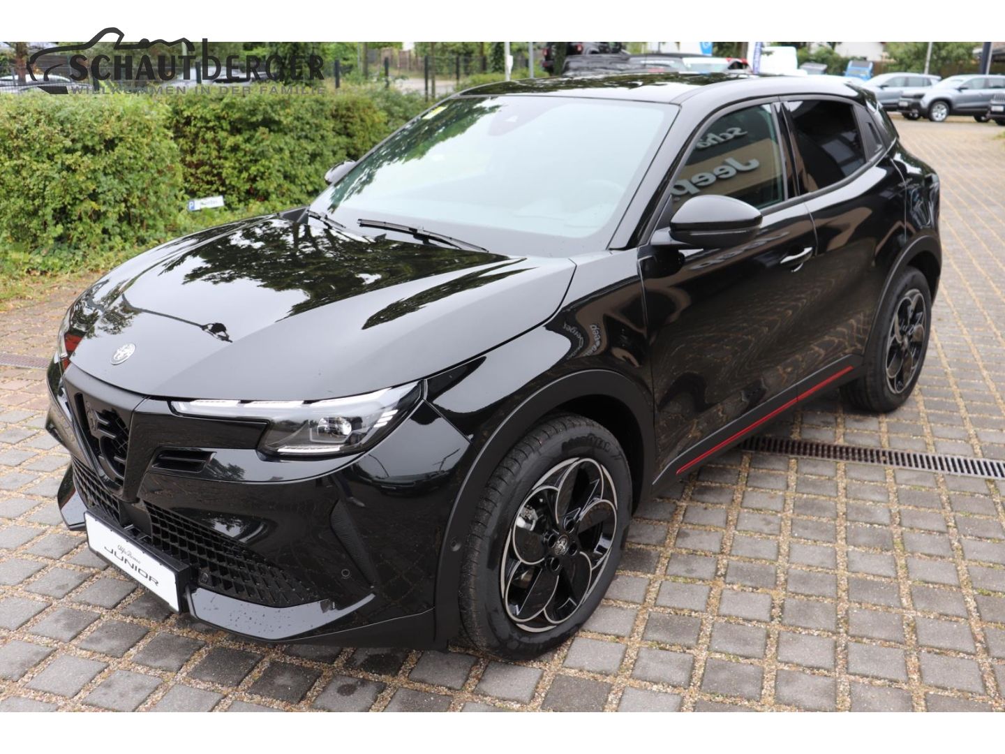 Alfa Romeo Junior - Bild 3