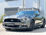 Ford Mustang GT 5.0 LPG/Sitzbelüftung/RFK/NAVI/SHZ - Ford Mustang mit Benzin-Antrieb: Coupé, Leder