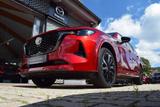 Mazda CX-80 2.5 PHEV 327PS AWD Homura Plus 7-Sitze Bos - rote Mazda CX-80