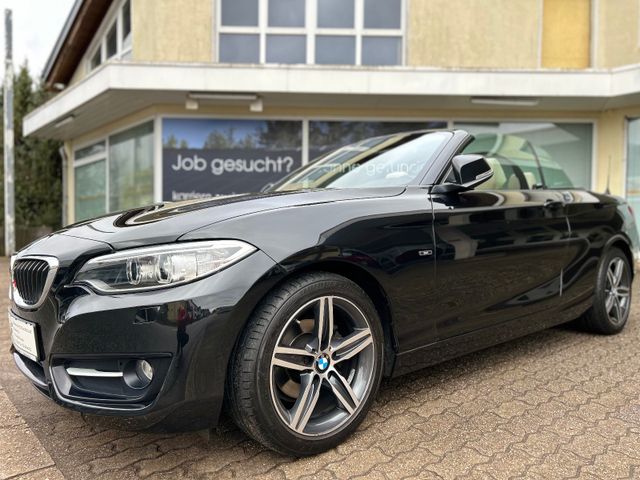 BMW 2 Cabrio 218 i Bi-Xenon Navi Leder Alu Pdc Euro6