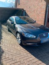 Jaguar XF  Premium Luxury - gebrauchte Jaguar XF aus dem Jahr 2009