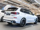 BMW X5 xDrive30d MSport + Pano + PAprof. + AHK + 22" - BMW X5: 30d