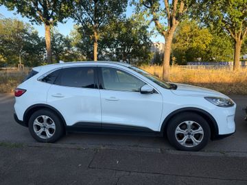 Ford Kuga - 3