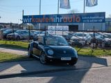 Volkswagen New Beetle Cabriolet 1.9 TDI*LEDER*KLIMA*PDC !! - Volkswagen New Beetle mit Diesel-Antrieb: Cabrio