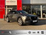 Mazda CX-30 SKYACTIV-G 2.0 M-Hybrid SELECTION BOSE 360 - graue Mazda CX-30