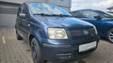 Fiat Panda 1.1 8V Active el.Fensterheber Allwetter - Fiat Panda Gebrauchtwagen in Düsseldorf