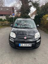 Fiat Panda  - Fiat Panda: Schwarz