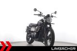 Triumph STREET SCRAMBLER 900 - Lieferung bundesweit! - TRIUMPH SCRAMBLER