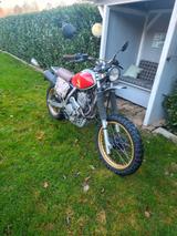 Honda NX Domination Scrambler Umbau  - HONDA SCRAMBLER