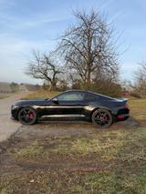 Ford Mustang GT 5.0 V8 Premium PP1 US-Version - gebrauchte Ford Sportwagen