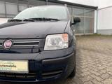 Fiat Panda 1.2 8V Dynamic/84000klm/Gar/Insp&Tüv Neu - Fiat Panda Dynamic mit Benzin-Antrieb