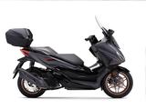 Honda Forza 125 Special Edition 2025 (NSS 125) - HONDA MOTORRAD