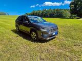 Toyota RAV 4 2.5 Hybrid Lounge Auto AWD Lounge - Toyota RAV 4: Leder, Allradantrieb